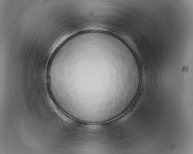 X0000111020893200907101337