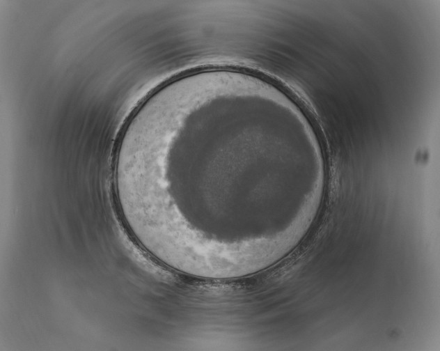 X0000111020895200907101337
