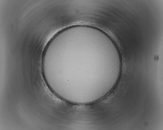 X0000111020896200907101337