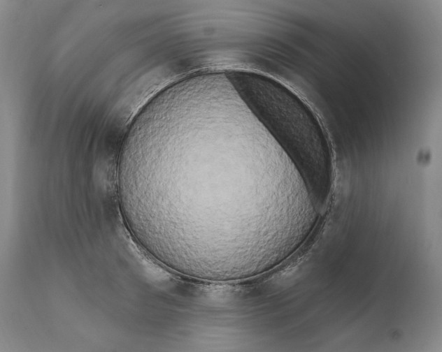 X0000111020897200907101337