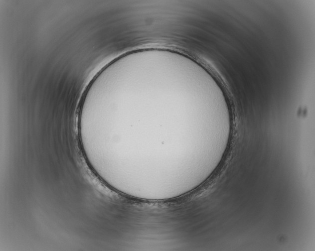 X0000111020900200907101337