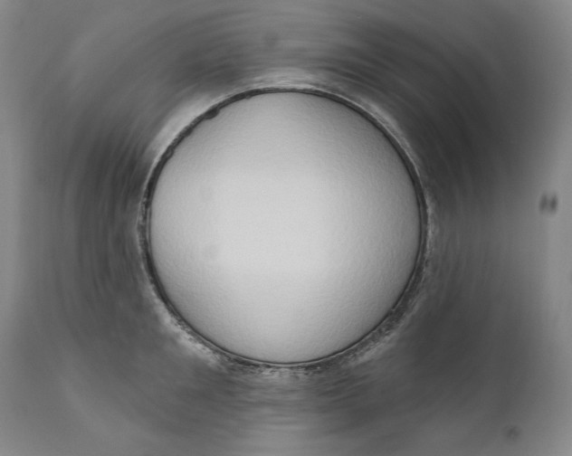 X0000111020901200907101337