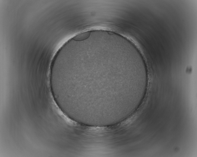 X0000111020902200907101337