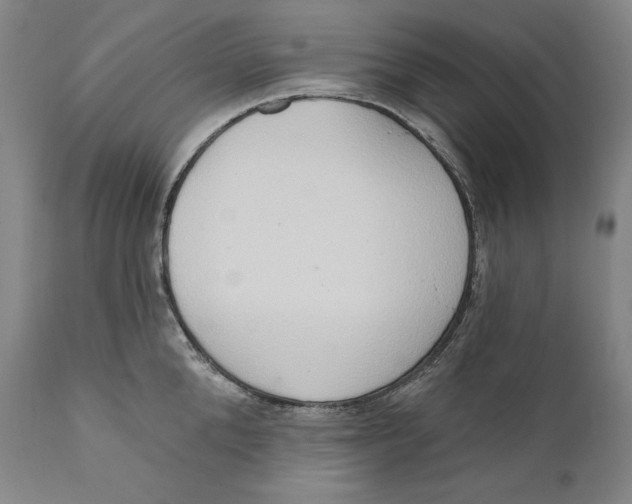 X0000111020904200907101337