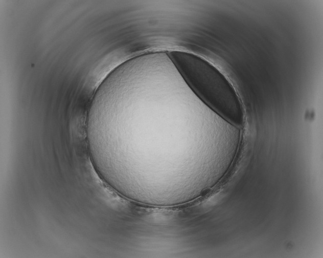 X0000111020905200907101337