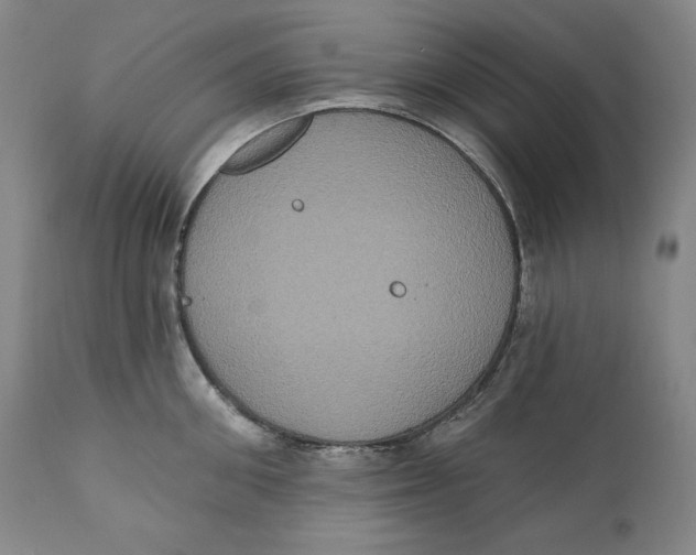 X0000111020906200907101337