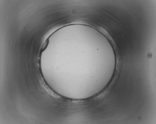 X0000111020908200907101337