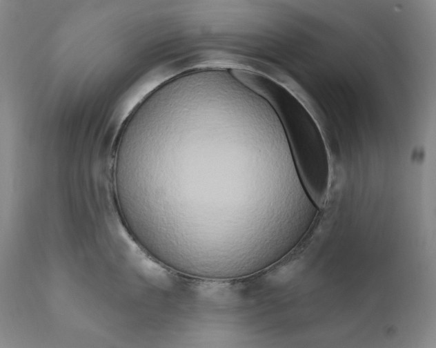 X0000111020909200907101337