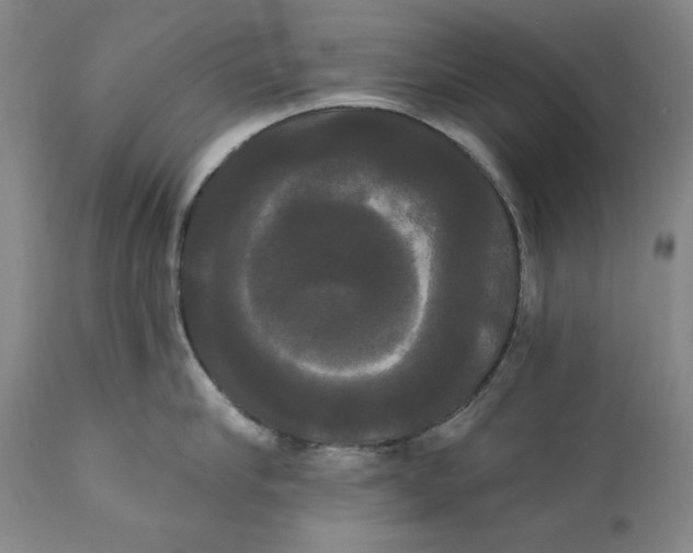 X0000111020910200907101337