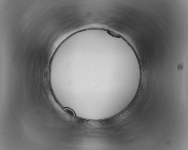 X0000111020911200907101337