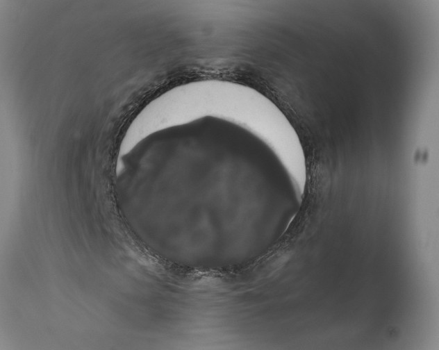 X0000111020913200907101336