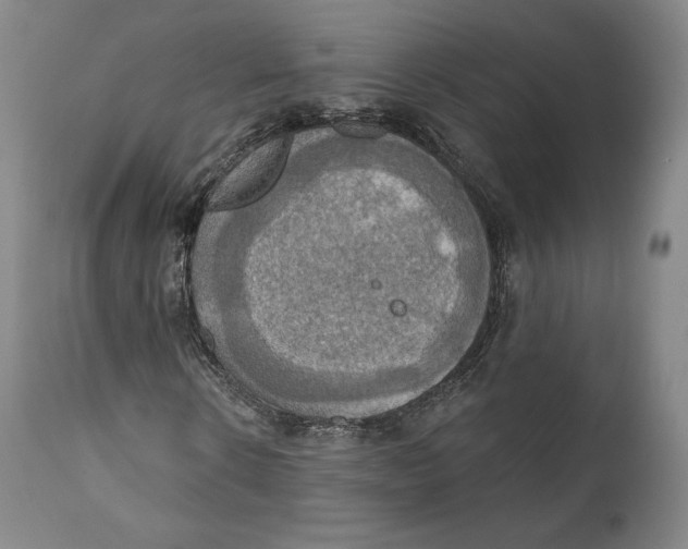 X0000111020914200907101336