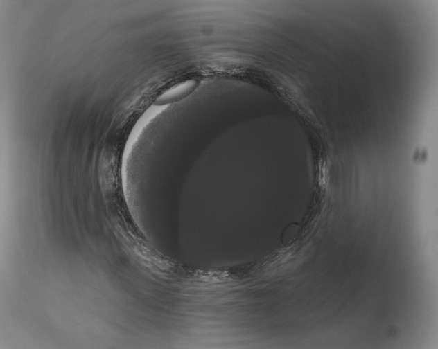 X0000111020915200907101336