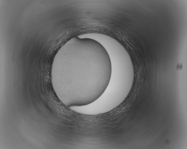 X0000111020916200907101336