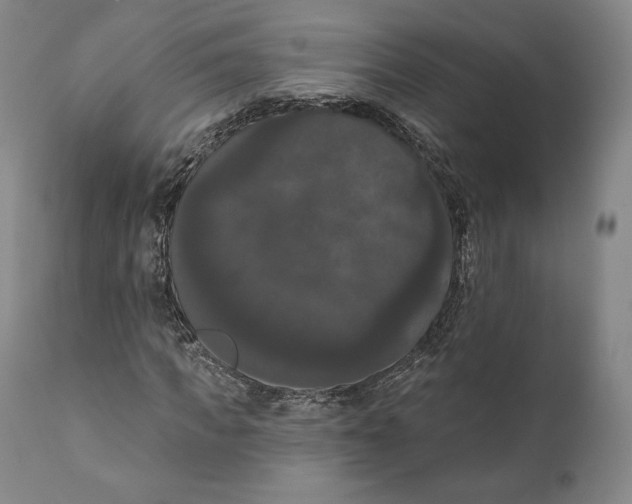 X0000111020917200907101336
