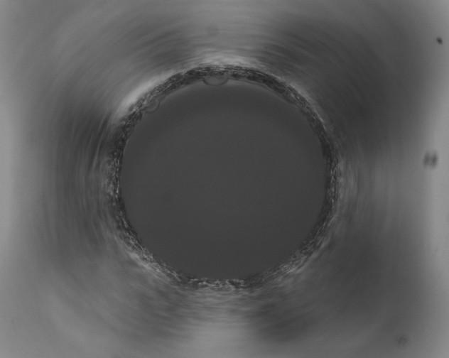 X0000111020919200907101336