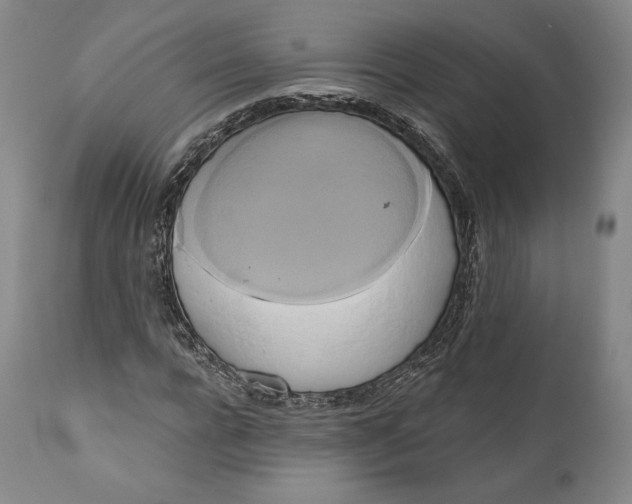 X0000111020920200907101336