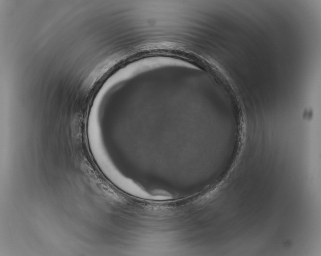 X0000111020921200907101336