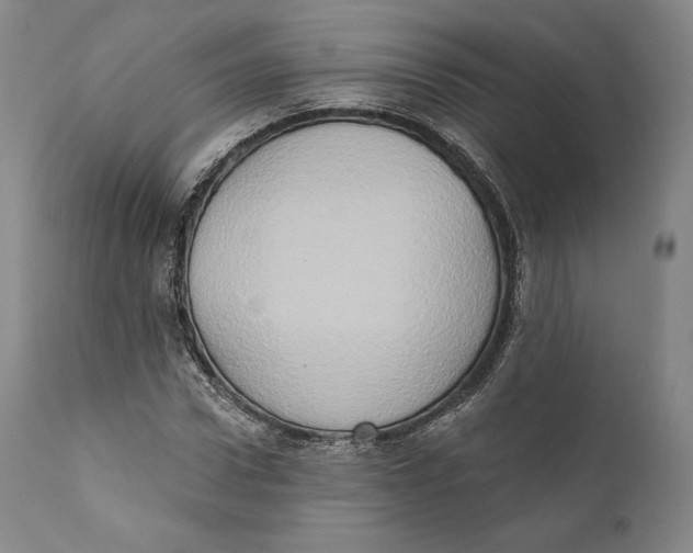 X0000111020922200907101336