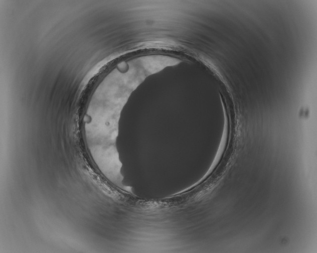 X0000111020923200907101336