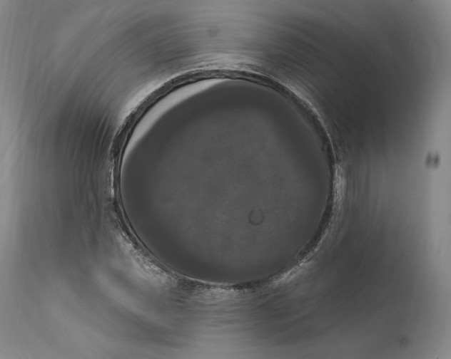 X0000111020925200907101336