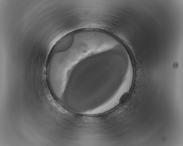 X0000111020928200907101336