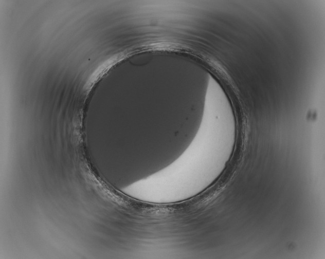 X0000111020930200907101336