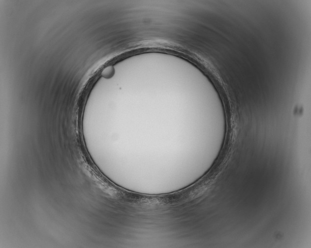 X0000111020931200907101336