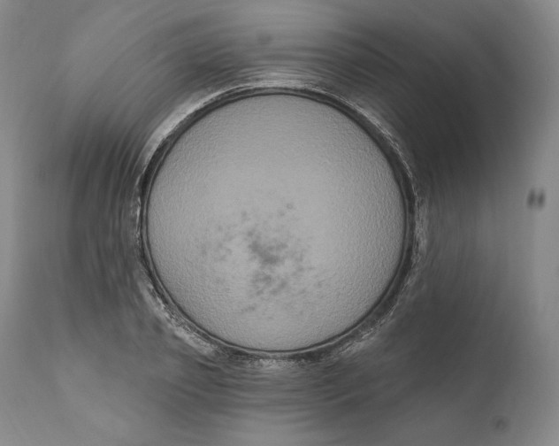 X0000111020933200907101336