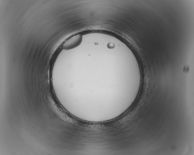 X0000111020934200907101336