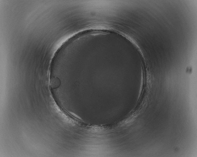 X0000111020935200907101336