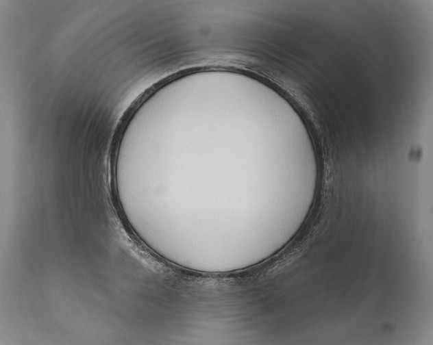 X0000111020936200907101336