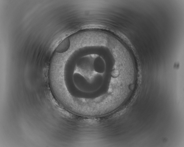 X0000111020937200907101336