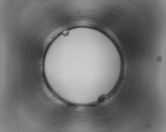 X0000111020938200907101336