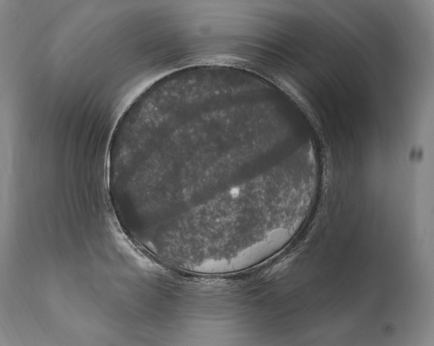 X0000111020940200907101337