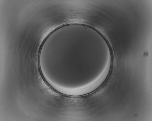 X0000111020941200907101337