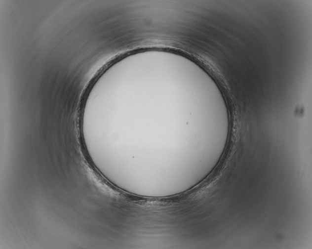 X0000111020942200907101337