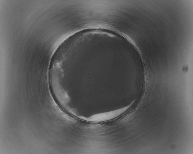 X0000111020943200907101337