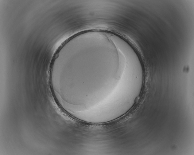 X0000111020944200907101337