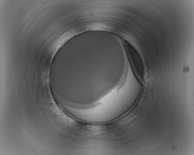 X0000111020946200907101337