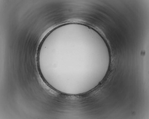 X0000111020947200907101337