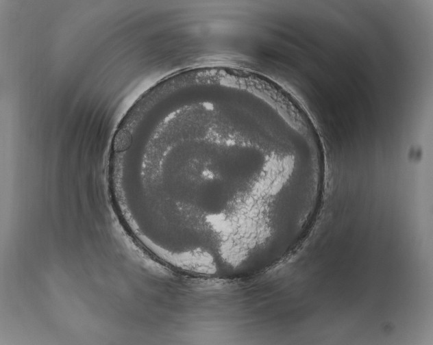 X0000111020949200907101337