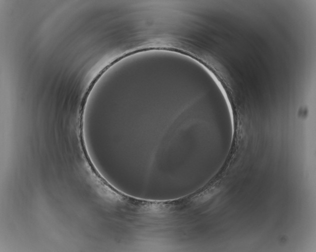 X0000111020950200907101337