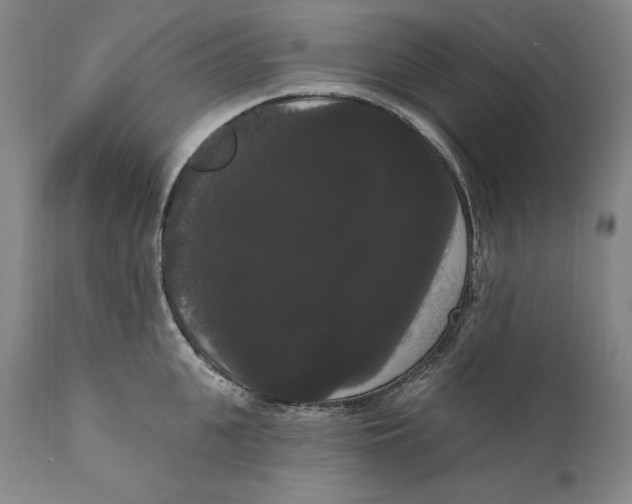 X0000111020951200907101337
