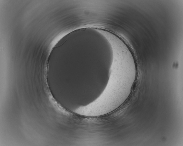 X0000111020952200907101337