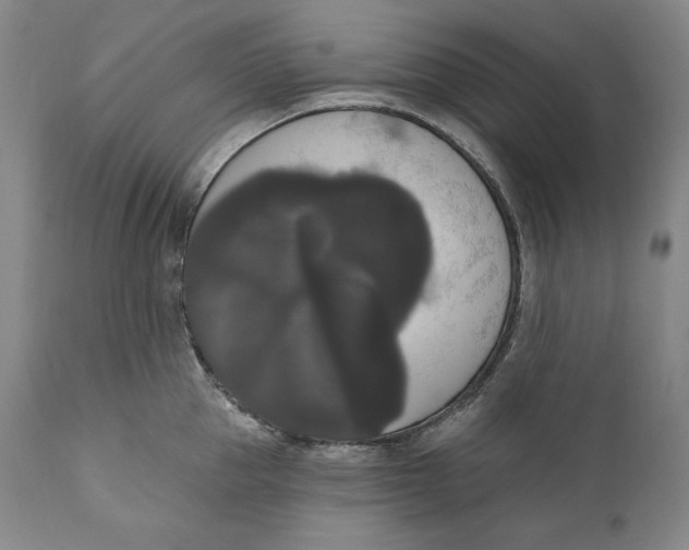 X0000111020953200907101337