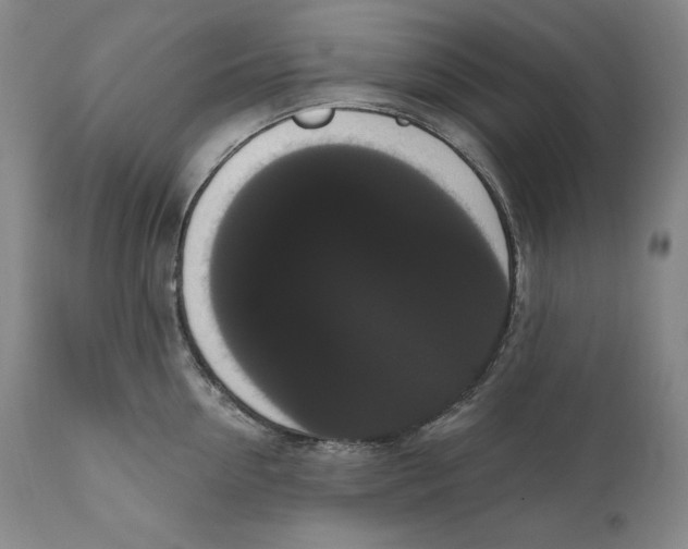 X0000111020954200907101337
