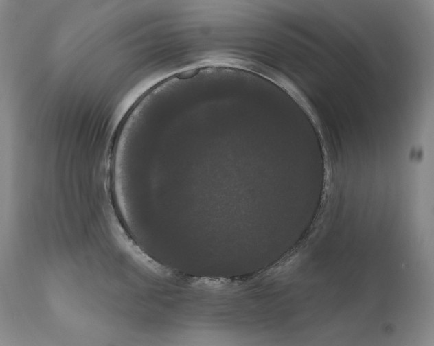 X0000111020955200907101337