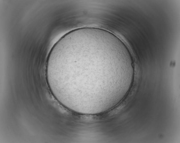 X0000111020956200907101337