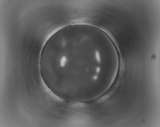 X0000111020957200907101337